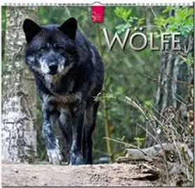 WÖLFE | Sonstiges | 978-3-8003-5790-1 | sack.de
