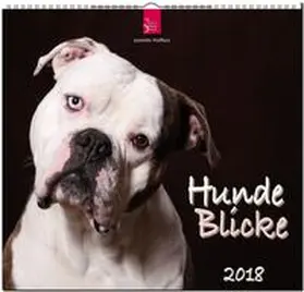 HundeBlicke | Sonstiges | 978-3-8003-5799-4 | www2.sack.de