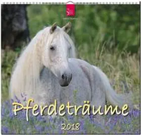 PFERDETRÄUME | Sonstiges | 978-3-8003-5800-7 | www2.sack.de