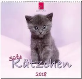 Süße KÄTZCHEN | Sonstiges | 978-3-8003-5801-4 | sack.de