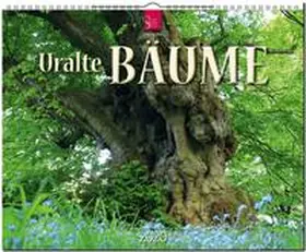 Uralte Bäume 2020 | Sonstiges | 978-3-8003-6079-6 | sack.de