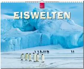  Eiswelten 2020 | Sonstiges |  Sack Fachmedien