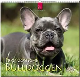  Französische Bulldoggen 2020 | Sonstiges |  Sack Fachmedien