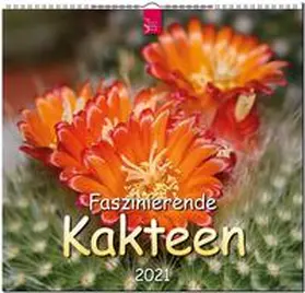 Verlagshaus Würzburg |  Faszinierende Kakteen 2021 | Sonstiges |  Sack Fachmedien