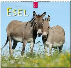  Esel 2021 | Sonstiges |  Sack Fachmedien