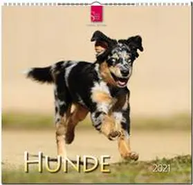  Hunde 2021 | Sonstiges |  Sack Fachmedien