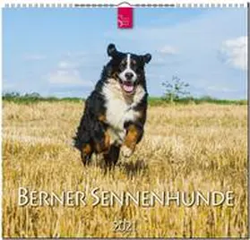 Verlagshaus Würzburg |  Berner Sennenhunde 2021 | Sonstiges |  Sack Fachmedien