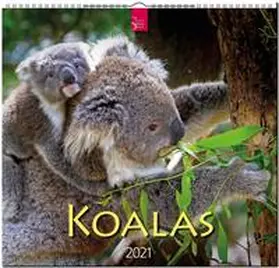  Koalas 2021 | Sonstiges |  Sack Fachmedien