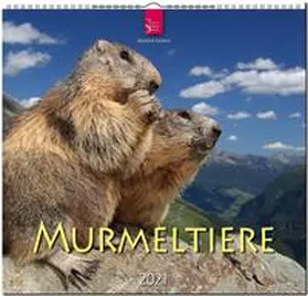  Meerschweinchen 2021 | Sonstiges |  Sack Fachmedien