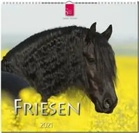  Friesen 2021 | Sonstiges |  Sack Fachmedien
