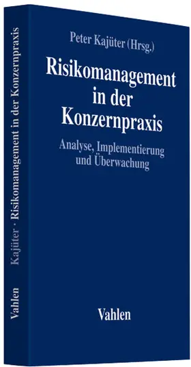 Kajüter |  Risikomanagement in der Konzernpraxis | Buch |  Sack Fachmedien