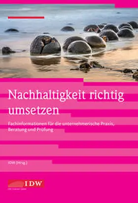 Völker-Lehmkuhl / Institut der Wirtschaftsprüfer in Deutschland e.V. / Beckmann |  Nachhaltigkeit richtig umsetzen | Buch |  Sack Fachmedien