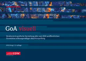 Institut der Wirtschaftsprüfer in Deutschland e.V. / Wirtz |  GoA visuell | Buch |  Sack Fachmedien