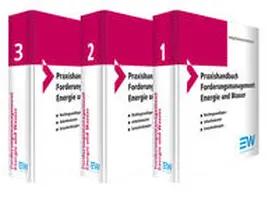 Hempel / Rodemann / Stintzing |  Praxishandbuch Forderungsmanagement | Buch |  Sack Fachmedien