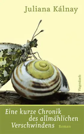 Kálnay |  Eine kurze Chronik des allmählichen Verschwindens | Buch |  Sack Fachmedien