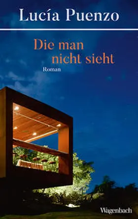 Puenzo |  Die man nicht sieht | Buch |  Sack Fachmedien