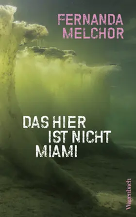Melchor |  Das hier ist nicht Miami | Buch |  Sack Fachmedien
