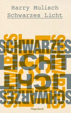 Mulisch |  Schwarzes Licht | eBook | Sack Fachmedien