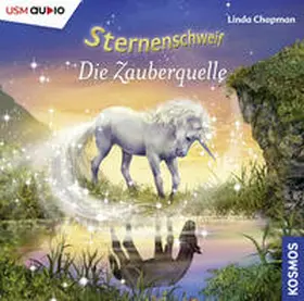 Chapman / United Soft Media Verlag GmbH |  Sternenschweif 27. Die Zauberquelle | Sonstiges |  Sack Fachmedien