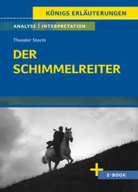 Storm / Lowsky |  Der Schimmelreiter von Theodor Storm. | Buch |  Sack Fachmedien