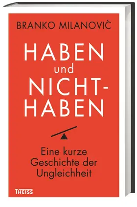 Milanovic |  Haben und Nichthaben | Buch |  Sack Fachmedien