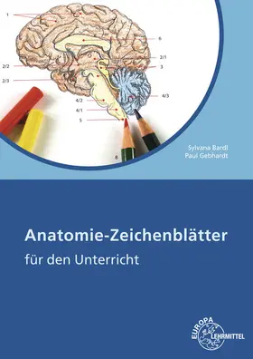 Gebhardt / Bardl |  Anatomie Zeichenblätter | Buch |  Sack Fachmedien