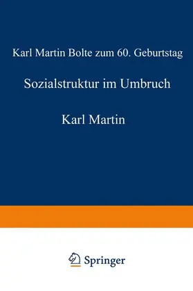 Hradil |  Sozialstruktur im Umbruch | Buch |  Sack Fachmedien