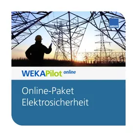  Online-Paket Elektrosicherheit | Datenbank |  Sack Fachmedien