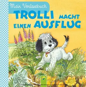 Pabst |  Trolli macht einen Ausflug | eBook | Sack Fachmedien