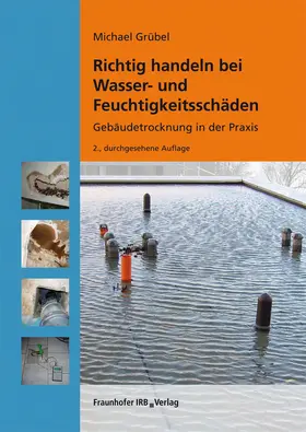 Grübel |  Richtig handeln bei Wasser- und Feuchtigkeitsschäden | Buch |  Sack Fachmedien