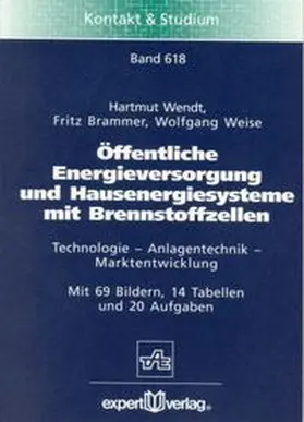 Wendt / Brammer / Weise |  Öffentliche Energieversorgung und Hausenergiesysteme mit Brennstoffzellen | Buch |  Sack Fachmedien