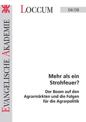 Lange |  Mehr als ein Strohfeuer? | Buch |  Sack Fachmedien