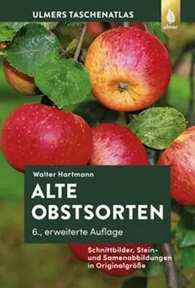 Hartmann |  Alte Obstsorten | eBook | Sack Fachmedien