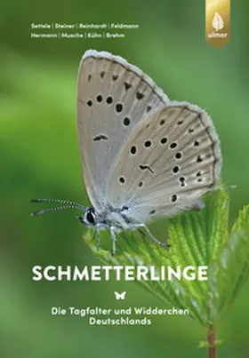 Settele / Steiner / Reinhardt |  Schmetterlinge | eBook | Sack Fachmedien