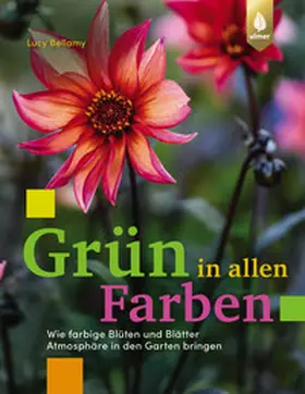 Bellamy |  Grün in allen Farben | Buch |  Sack Fachmedien