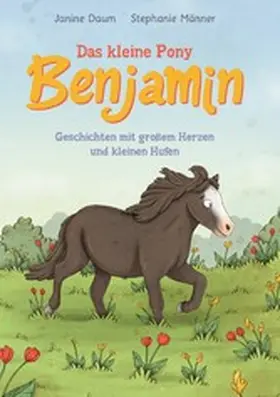 Männer / Daum |  Das kleine Pony Benjamin | eBook | Sack Fachmedien