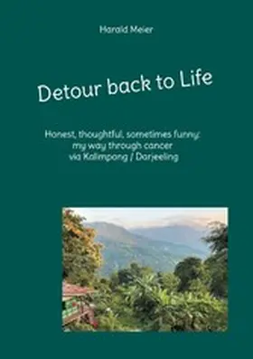 Meier |  Detour back to Life | eBook | Sack Fachmedien