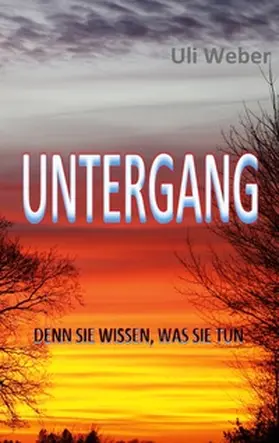 Weber |  Untergang | Buch |  Sack Fachmedien