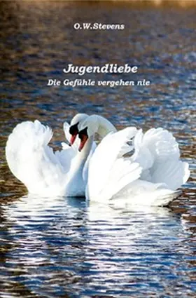 Stevens |  Begegnungen / Jugendliebe | Buch |  Sack Fachmedien