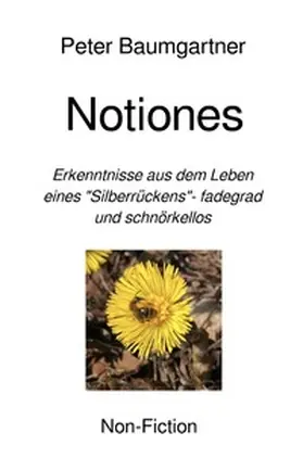 Baumgartner |  Notiones | Buch |  Sack Fachmedien