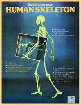 Miller |  Human Skeleton | Buch |  Sack Fachmedien