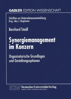  Synergiemanagement im Konzern | Buch |  Sack Fachmedien