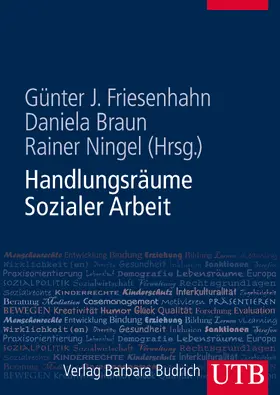 Friesenhahn / Braun / Ningel |  Handlungsräume Sozialer Arbeit | Buch |  Sack Fachmedien