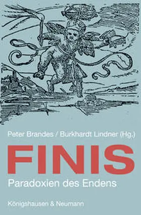 Brandes / Lindner |  Finis | Buch |  Sack Fachmedien