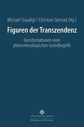 Staudigl / Sternad |  Figuren der Transzendenz | Buch |  Sack Fachmedien