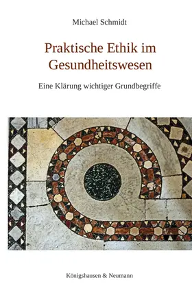 Schmidt |  Praktische Ethik im Gesundheitswesen | Buch |  Sack Fachmedien