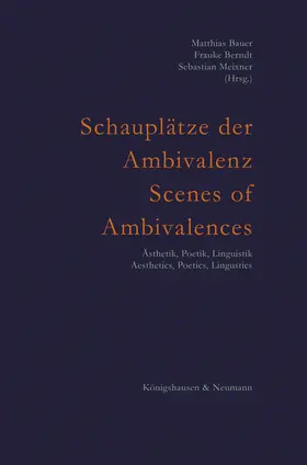 Bauer / Berndt / Meixner |  Ambivalenz in Sprache, Literatur und Kunst. Ambivalence in Language, Literature, and Art | Buch |  Sack Fachmedien