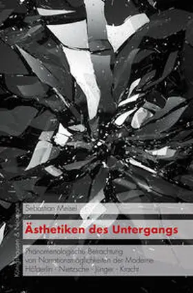Meisel | Ästhetiken des Untergangs | Buch | 978-3-8260-7866-8 | www2.sack.de