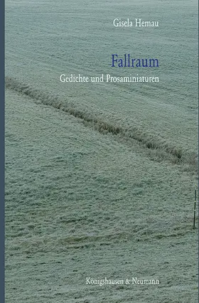 Hemau |  Fallraum | Buch |  Sack Fachmedien