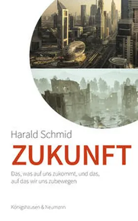 Schmid |  Zukunft | Buch |  Sack Fachmedien
